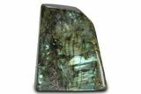 Flashy, Free-Standing Polished Labradorite - Madagascar #320428-1